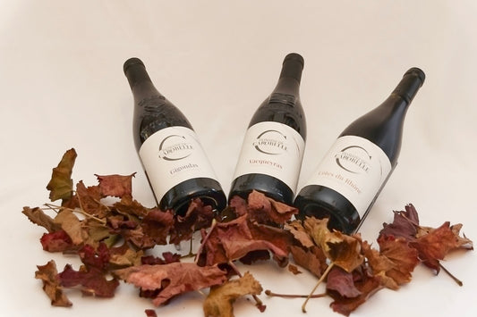 Trois bouteilles du Domaine de Carobelle — Gigondas, Vacqueyras et Côtes du Rhône — présentées sur un fond clair avec des feuilles d’automne, illustrant les cuvées emblématiques du domaine en Côtes du Rhône méridional.