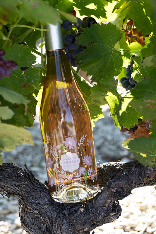 IGP  Méditerranée Rosé 2024