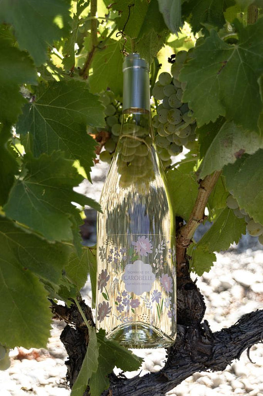 IGP Méditérranée Blanc 2024