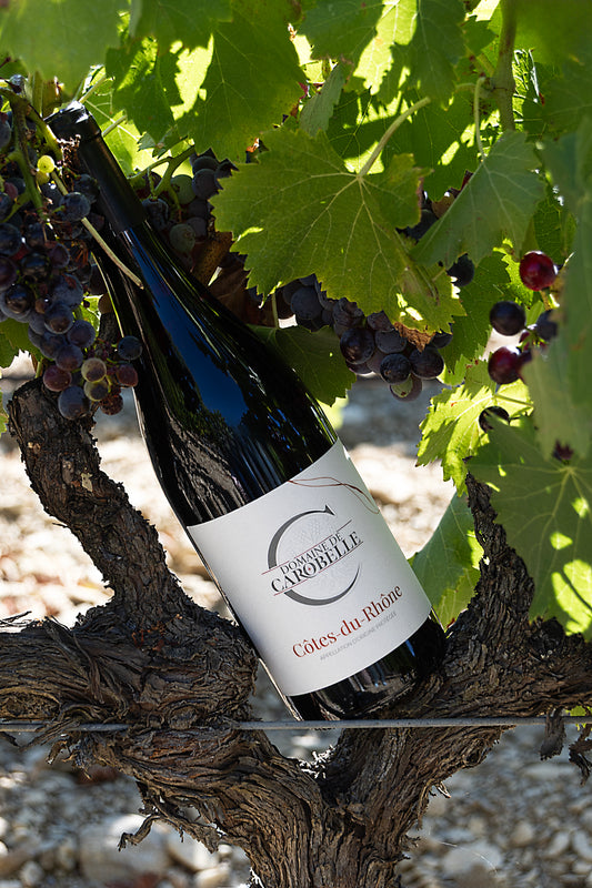 Côtes du Rhône 2021