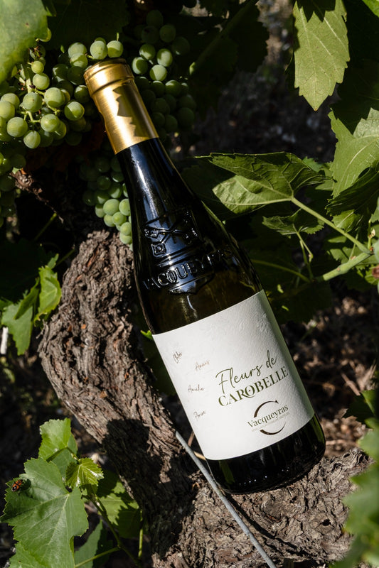 Vacqueyras Blanc 2025